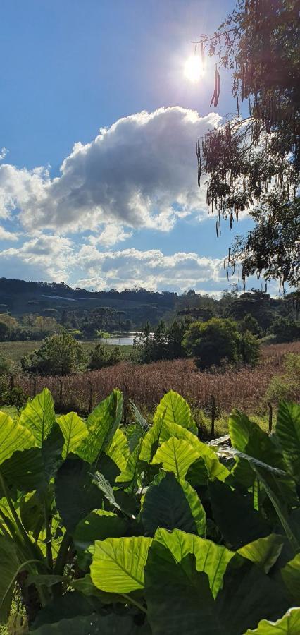 הוילה גריבלדי Loft No Campo Proximo Ao Vale Dos Vinhedos מראה חיצוני תמונה